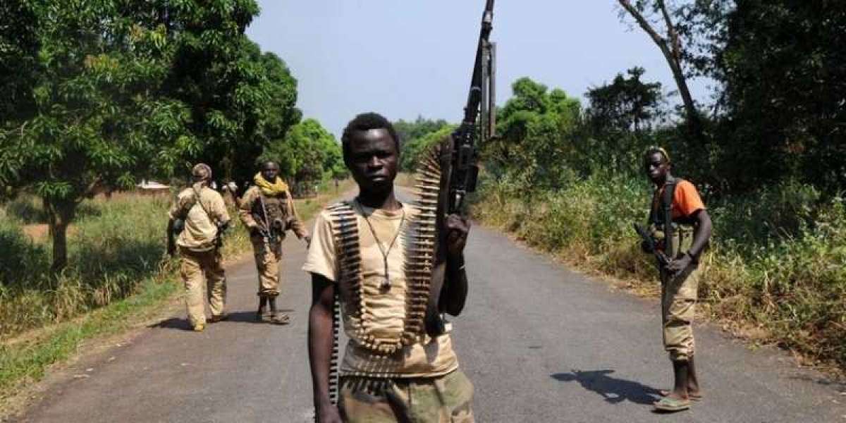 Cameroun - Crise en Centrafrique: Trois gendarmes camerounais pris en otage par des rebelles centrafricains